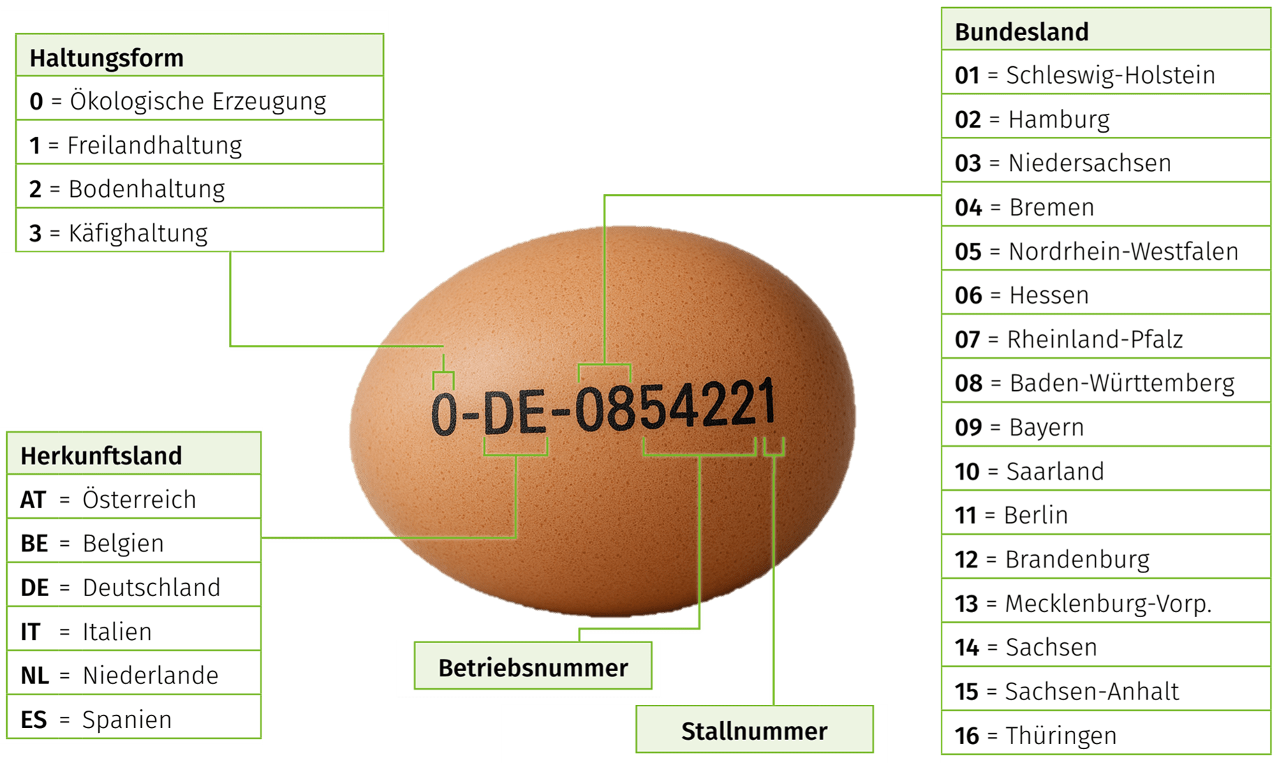 Erklärgrafik zum Erzeugercode für Hühnereier. Der Code setzt sich zusammen aus der Haltungsform, dem Herkunftsland, dem Bundesland, der Betriebs- und der Stallnummer.